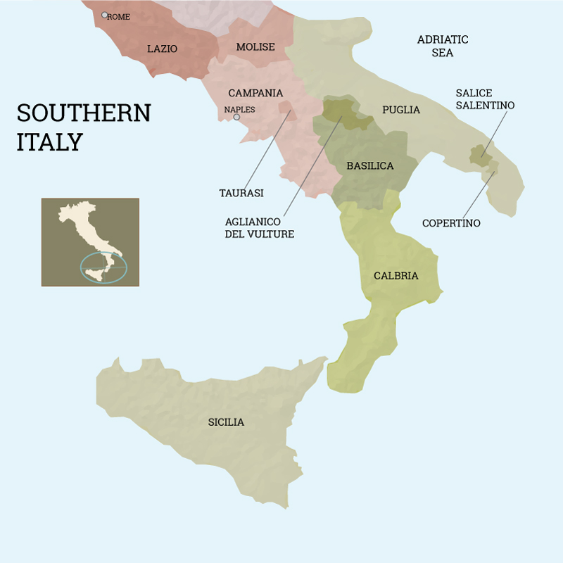 The Wines of Southern Italy - Andrea Wine